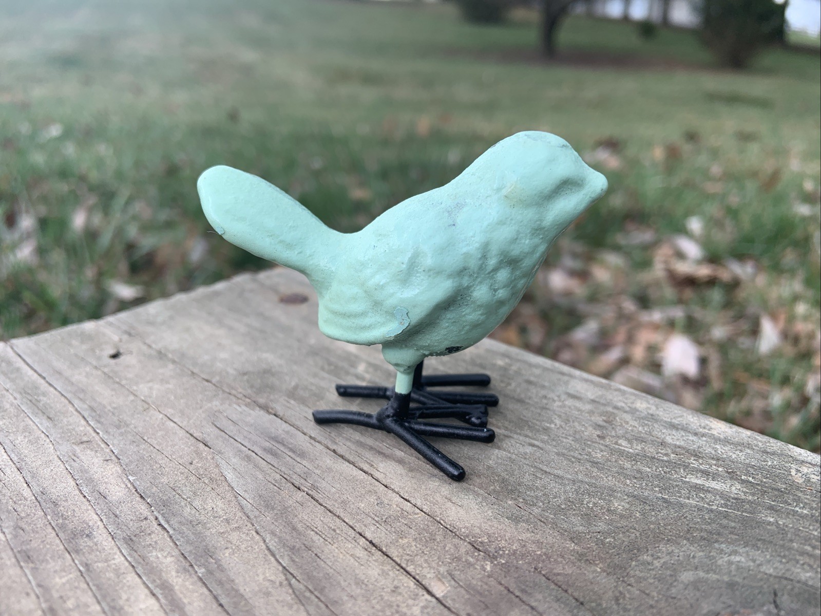 Cast Iron Decorative Bird Mint Green, Black Feet Small