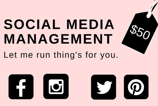 I Will Manage Your Social Media Accounts For 30 Days