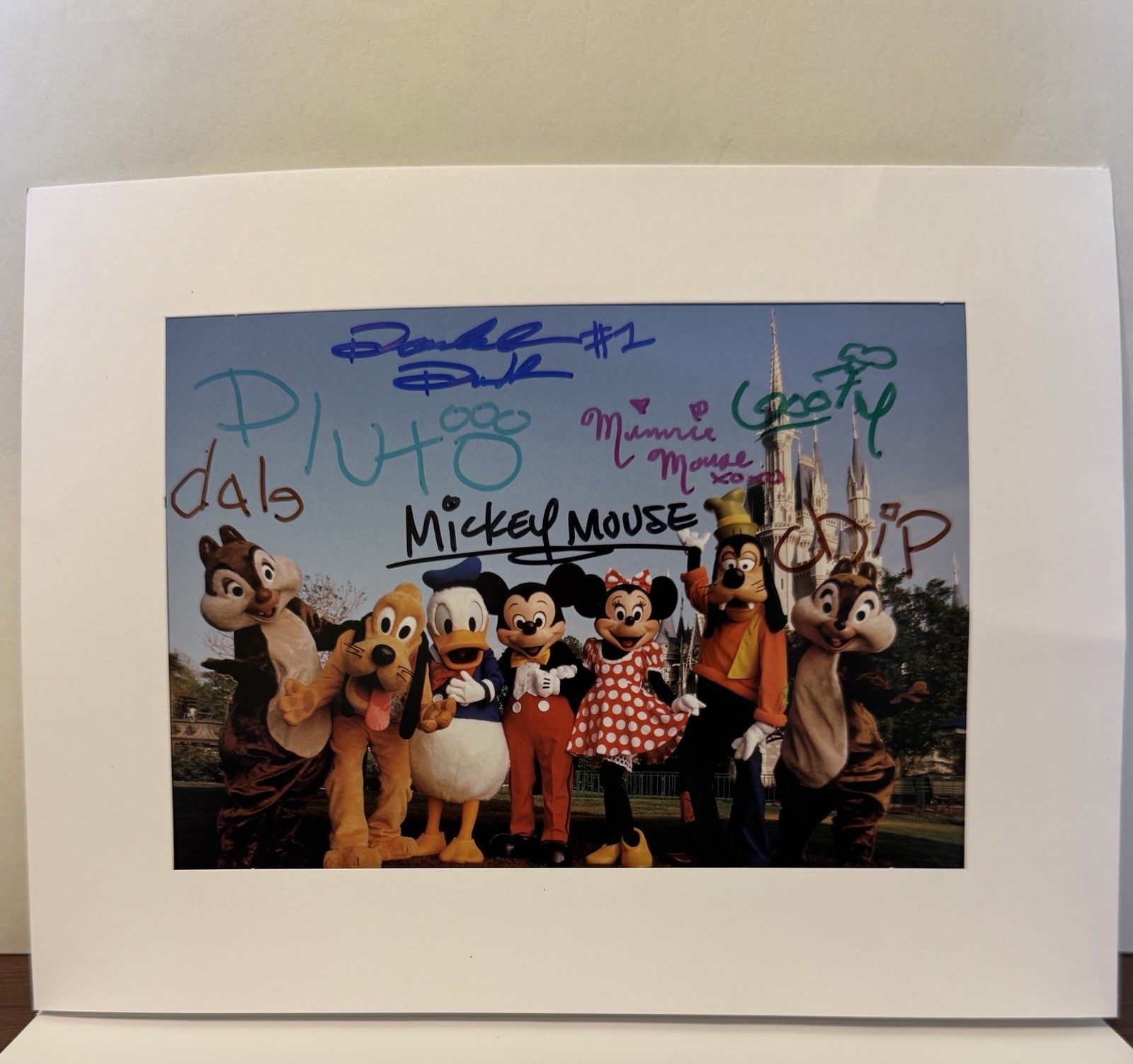 Disney World 8x10 Signed Character Photo Mickey Minnie Donald Chip Dale 