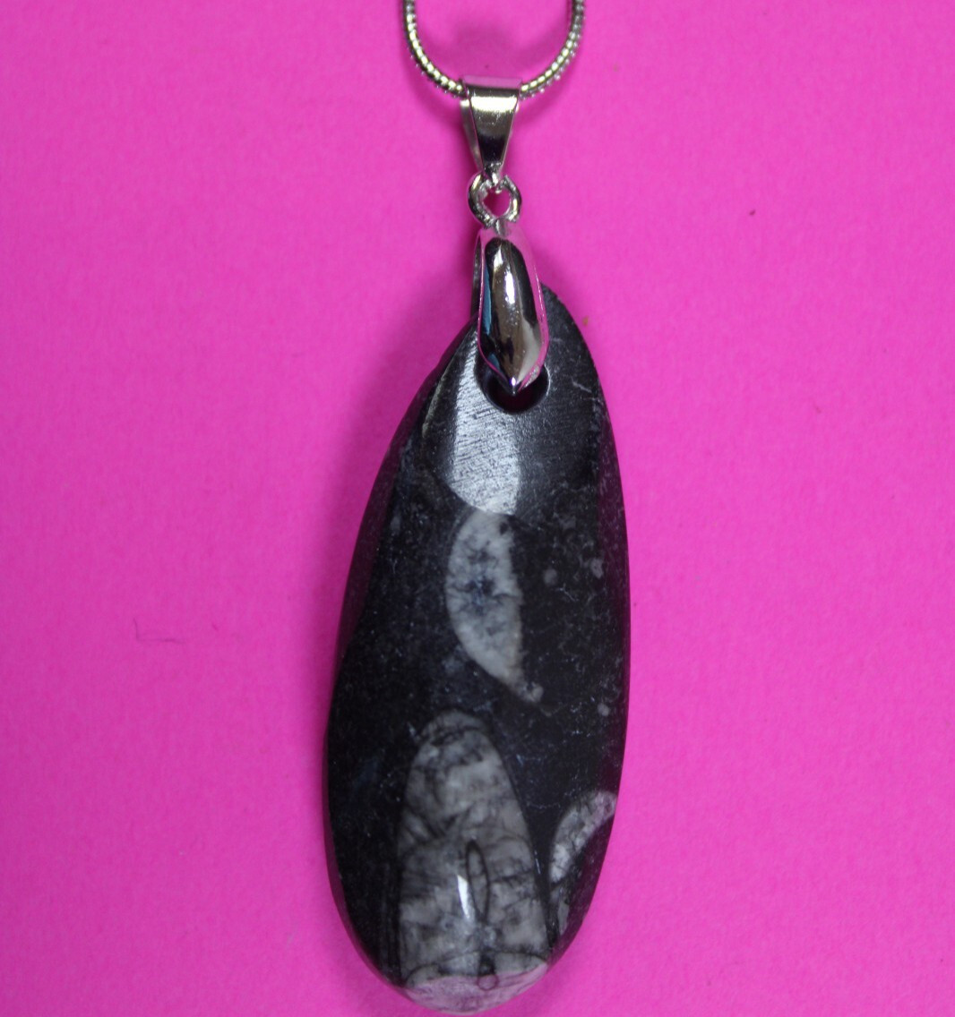 Authentic Orthoceros Necklace Fossil 500 Million Years Old Dinosaur Girl COA 04