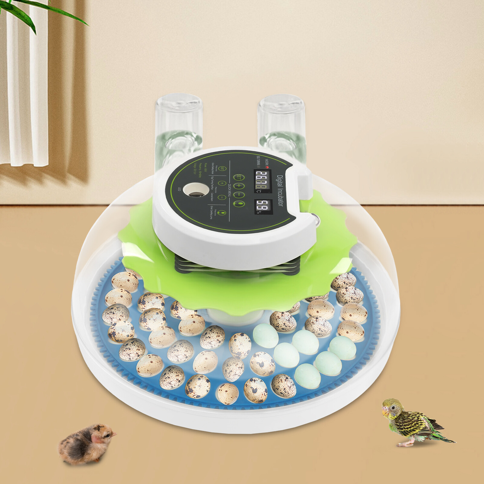 Modern LED Quail Egg Incubator for Hatching 60 Quail Eggs, Small Quail Brooder