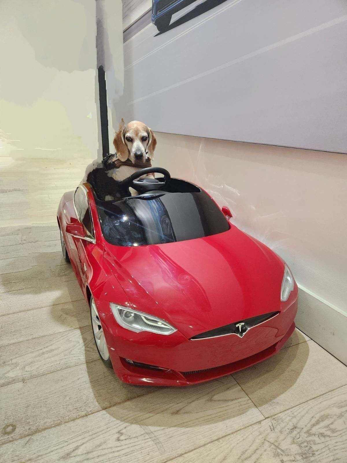 Tesla $500 Off Referral Link (In Description)