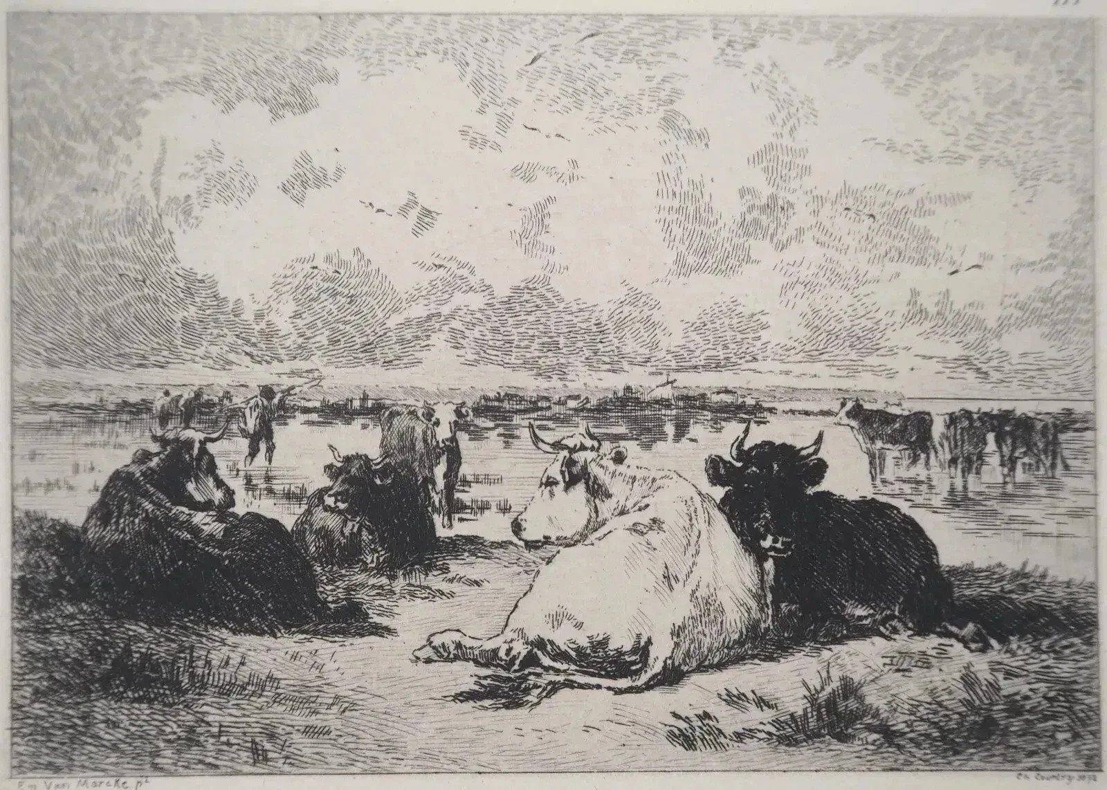 Emile Van-Marke: Cows of Arcachon, ENGRAVING signed, Durand Ruel, 1873