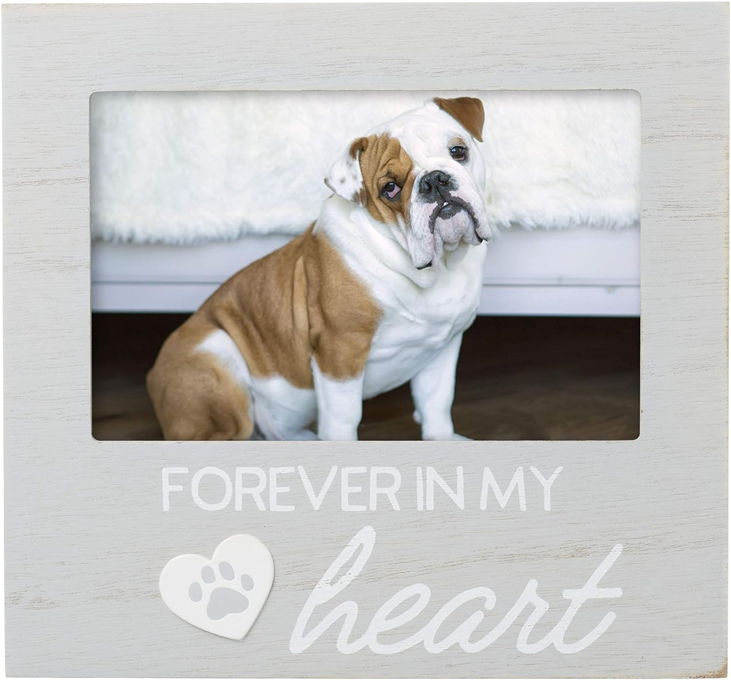 Pearhead Pet Forever in My Heart Memorial Keepsake Picture Frame - Keepsake for 