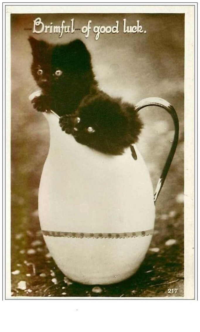 Cats No. 2027 Brimful Of Good Luck Black Kittens In A White Jug