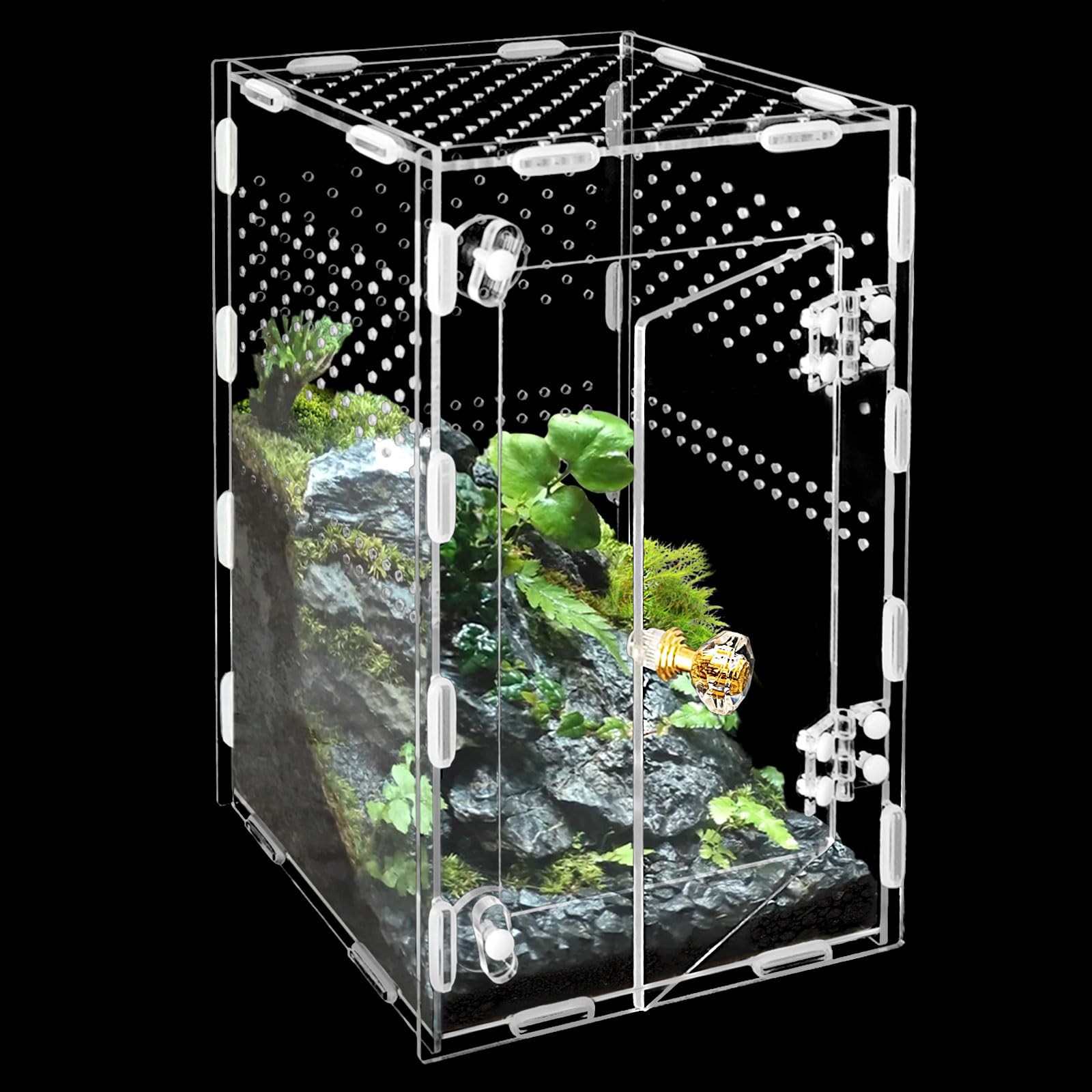 Acrylic Jumping Spider Enclosure Box: 10x6x6 Inch Transparent Habitat with Ve...