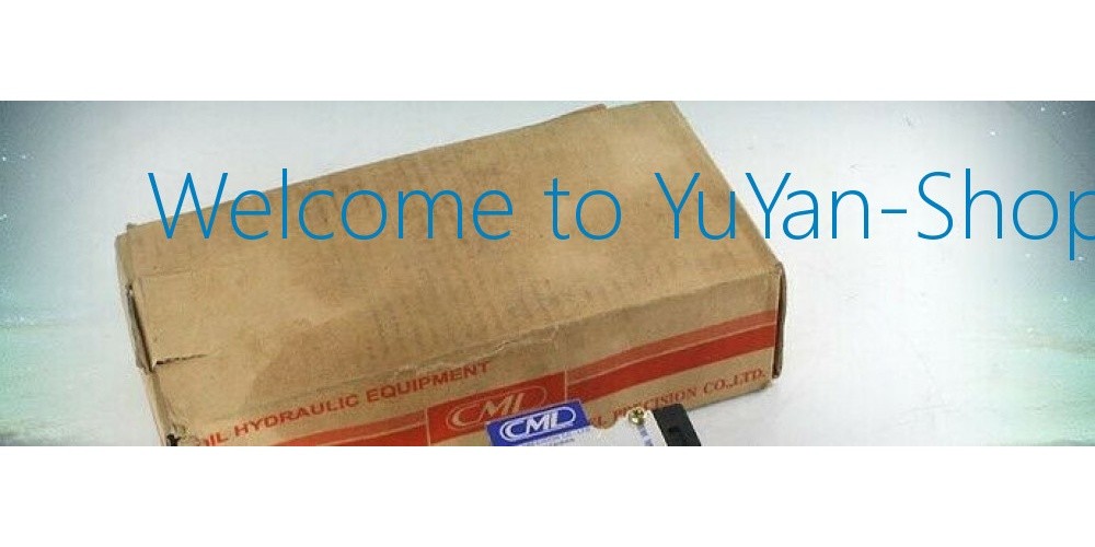 1PC NEW FOR CML Camel Hydraulic Solenoid Valve WH42-G02-C2-A110 *kk