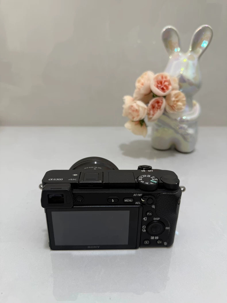 Sony Alpha A6300 24.2MP Mirrorless Digital Camera with 16-50mm Zoom Lens English