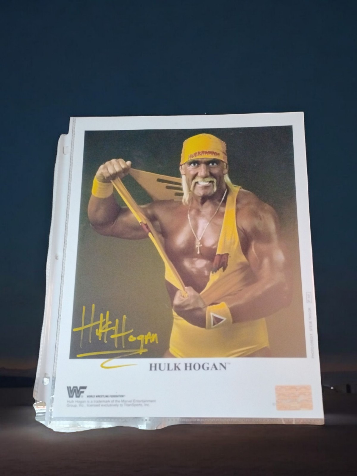 🔥Hulk Hogan Signed Autographed 11x8 Photo WWE Wrestling WWF.