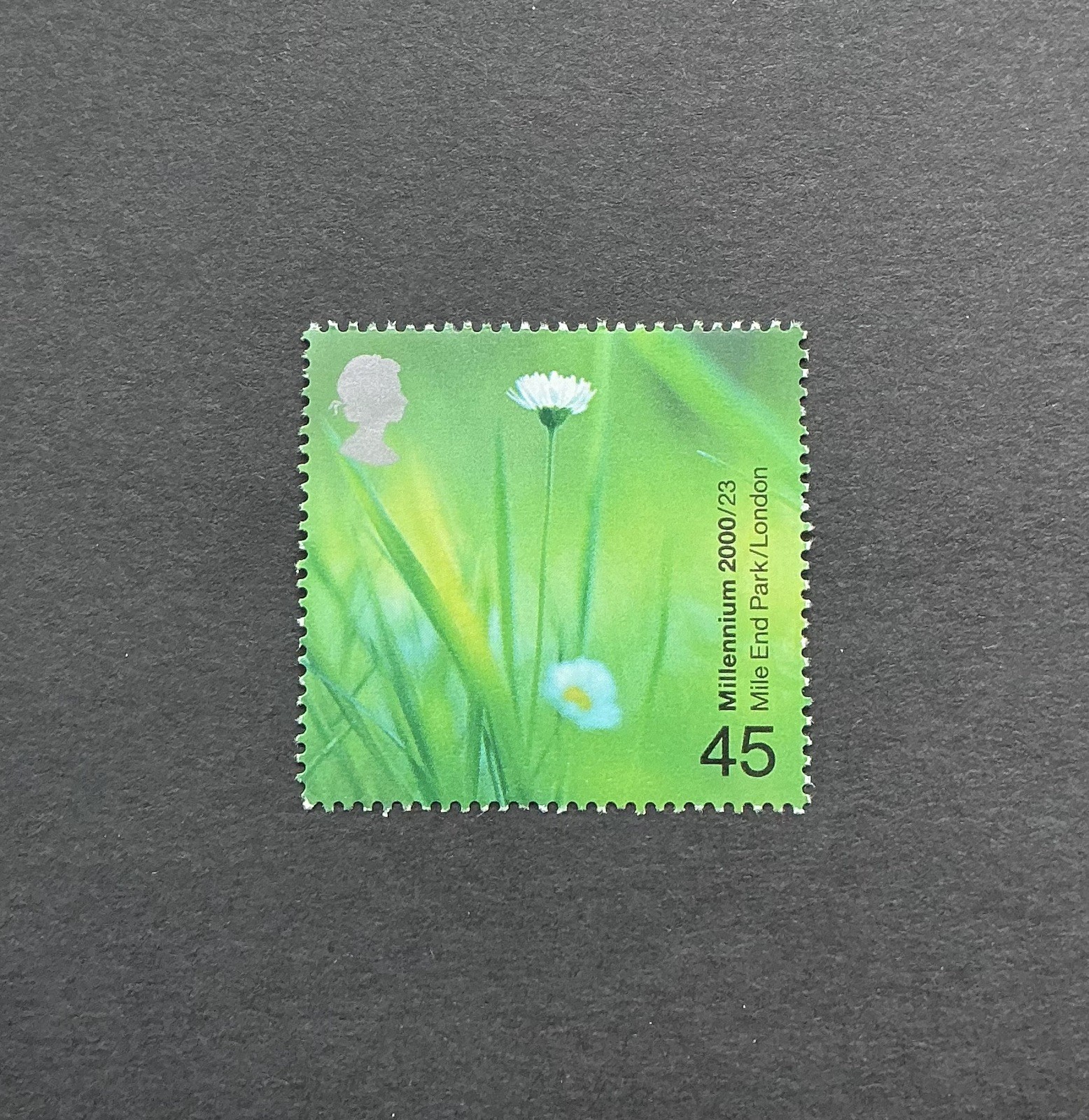 2000 Spring Daisies People & Places MNH GB Stamp - Postage Combined