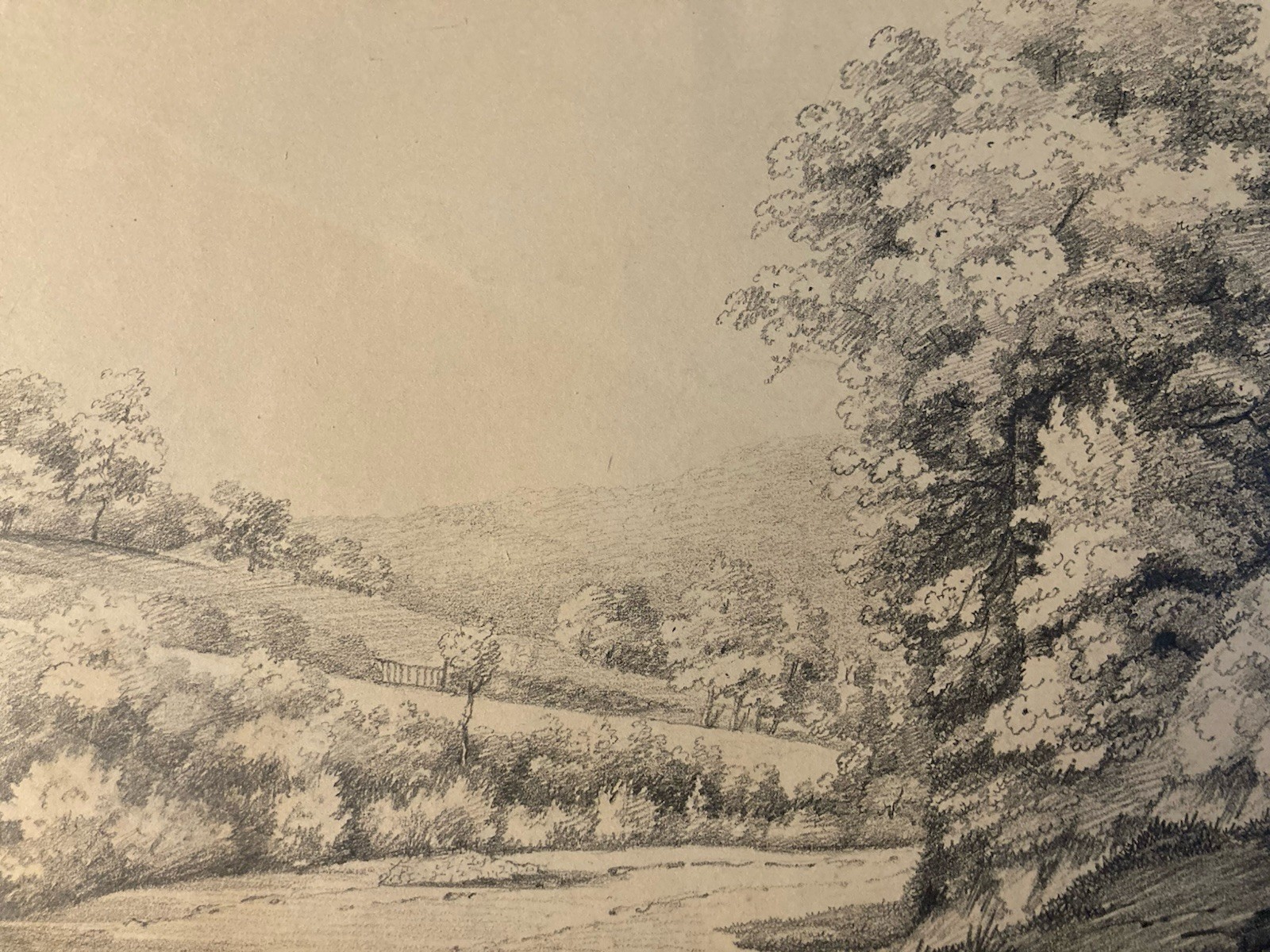 Grand Dessin XIXe 1850 crayon Paysage Arbre Forêt Ancien A Identifier Feuille
