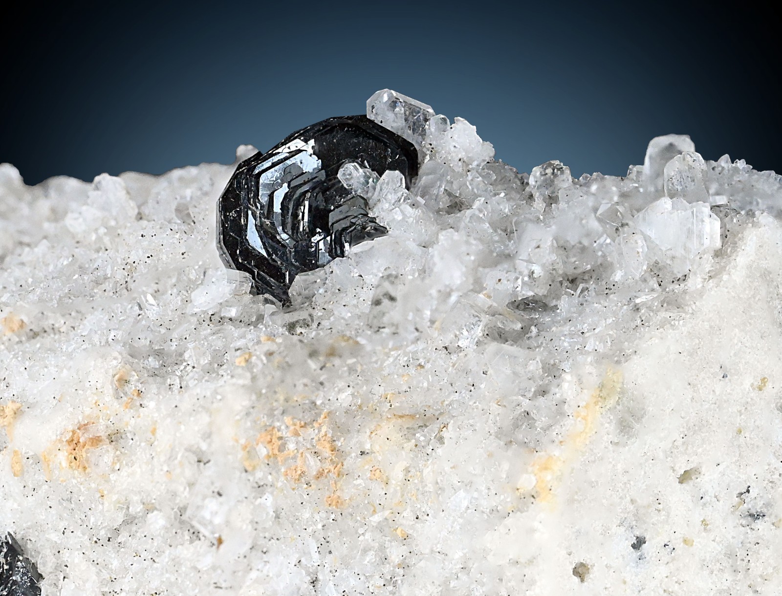 54g Hematite Flower Crystal on Matrix Tormiq Pakistan Natural Collector Specimen