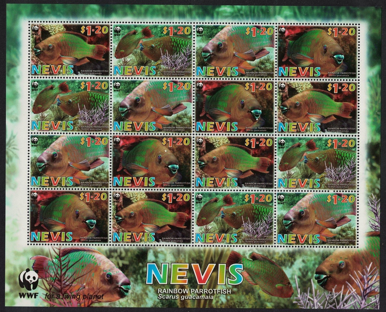 Nevis WWF Rainbow Parrotfish Sheetlet of 4 sets 2007 MNH SG#2015-2018