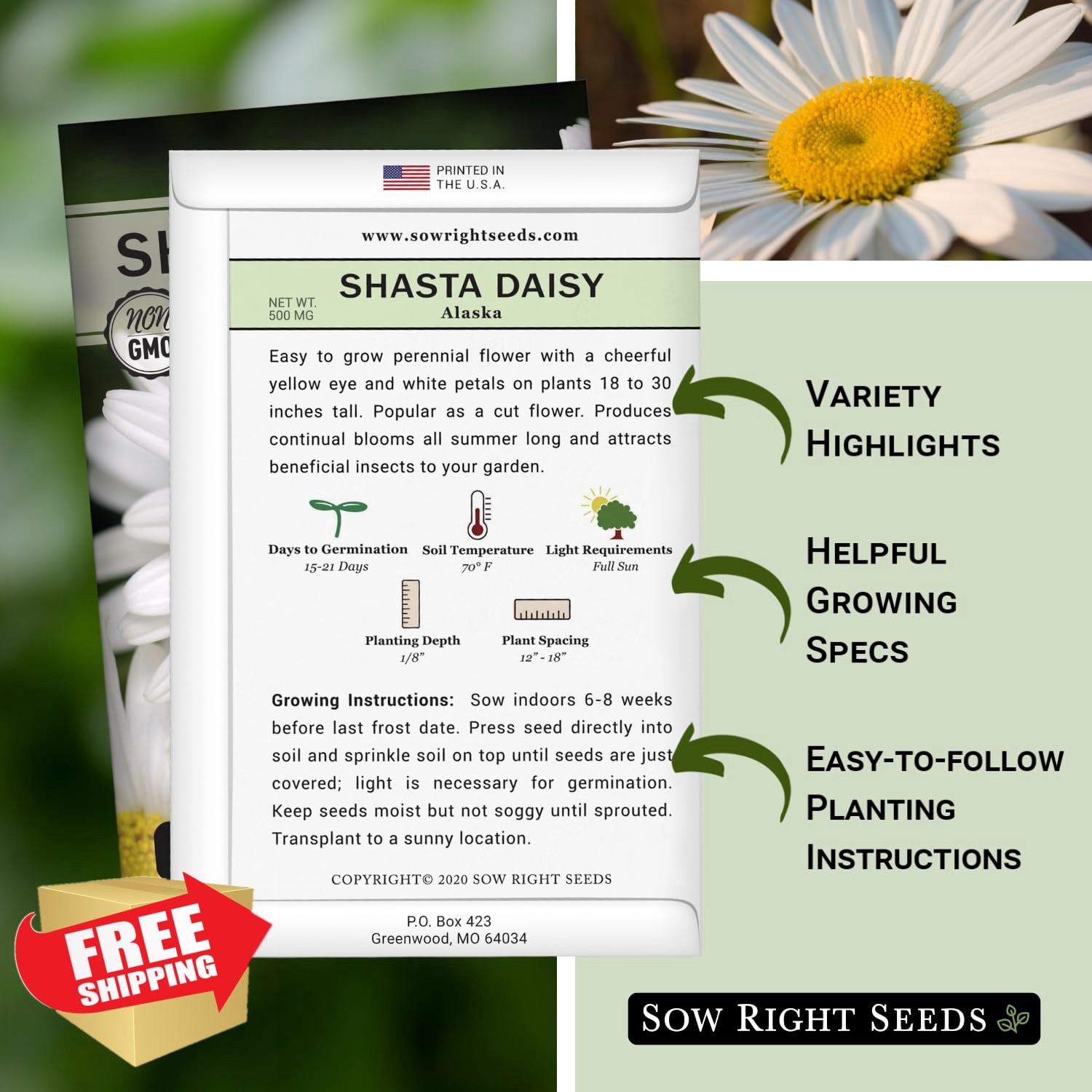 Sow Right Shasta Daisy Flower Seeds, Non-GMO Heirloom Packet White Blossom