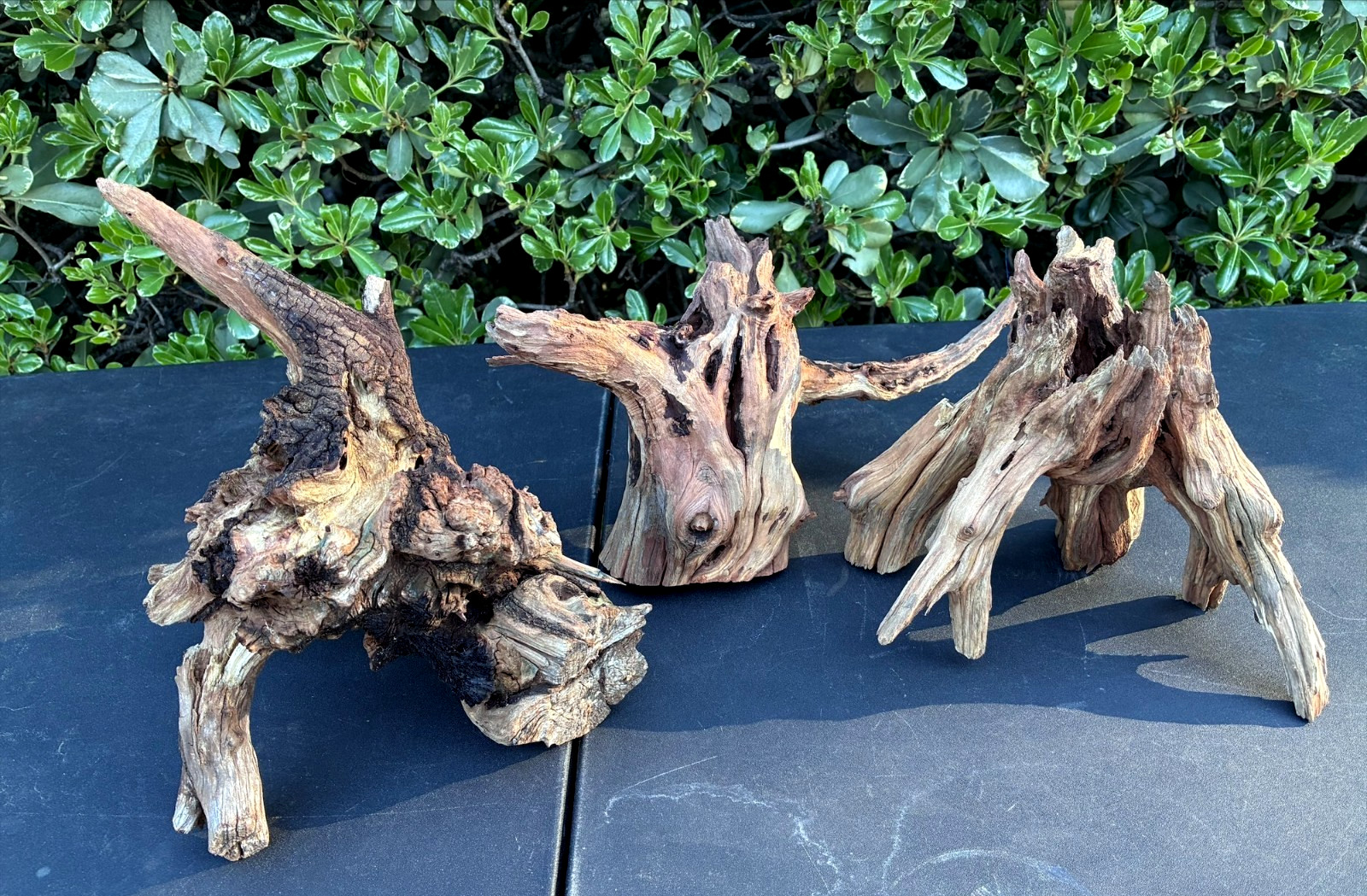 Aquarium Fish Tank Terrarium Aquascape  Manzanita Root 3 Pieces