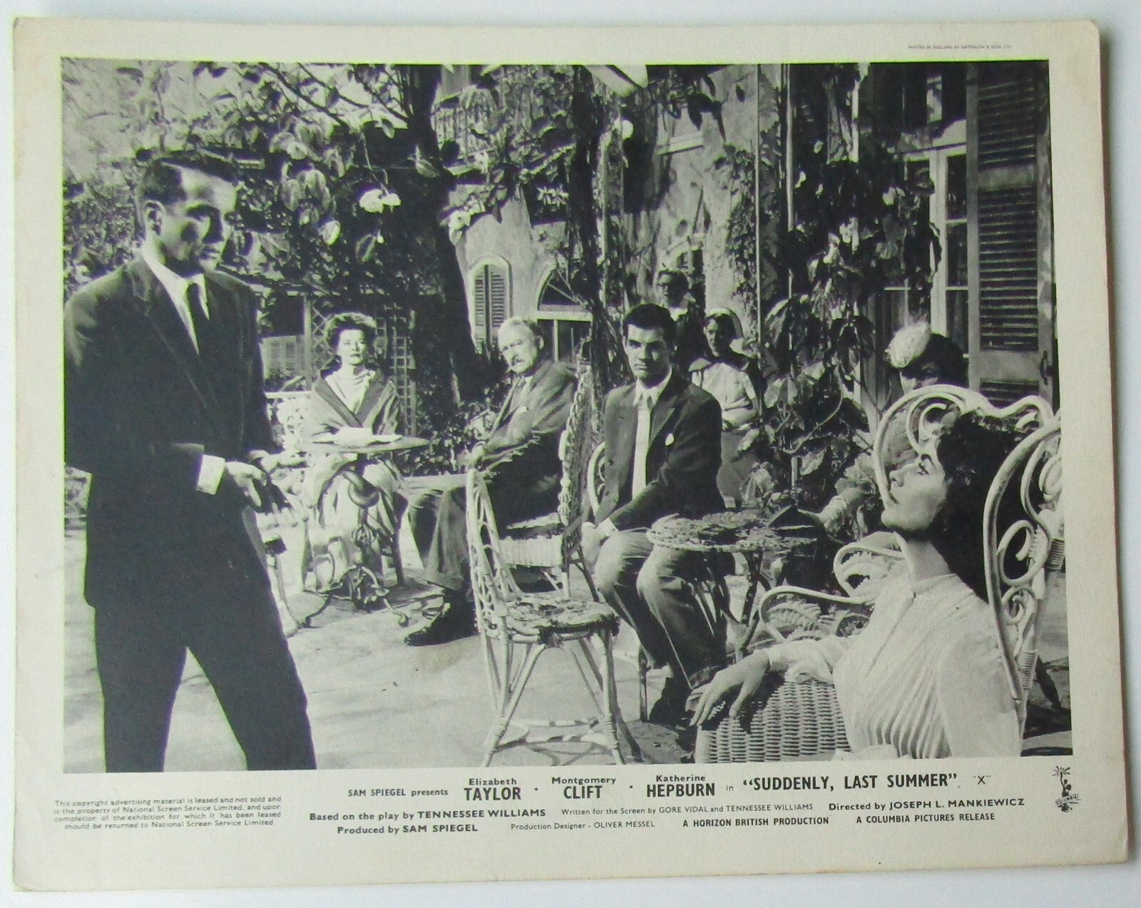 SUDDENLY LAST SUMMER - 1959 Lobby Card 10x8 -Elizabeth Taylor, Katherine Hepburn