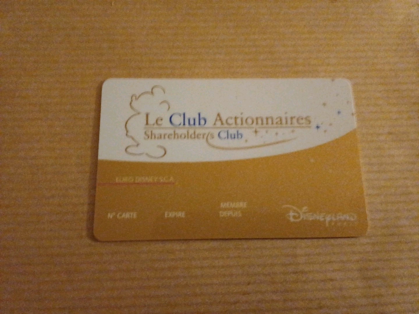 Disney Disneyland Pass Shareholder Club Card VF