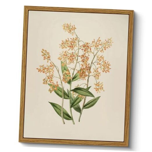  Vintage Framed Botanical Wall Art, Bedroom 10"L x 8"W Epidendrum Polyanthum