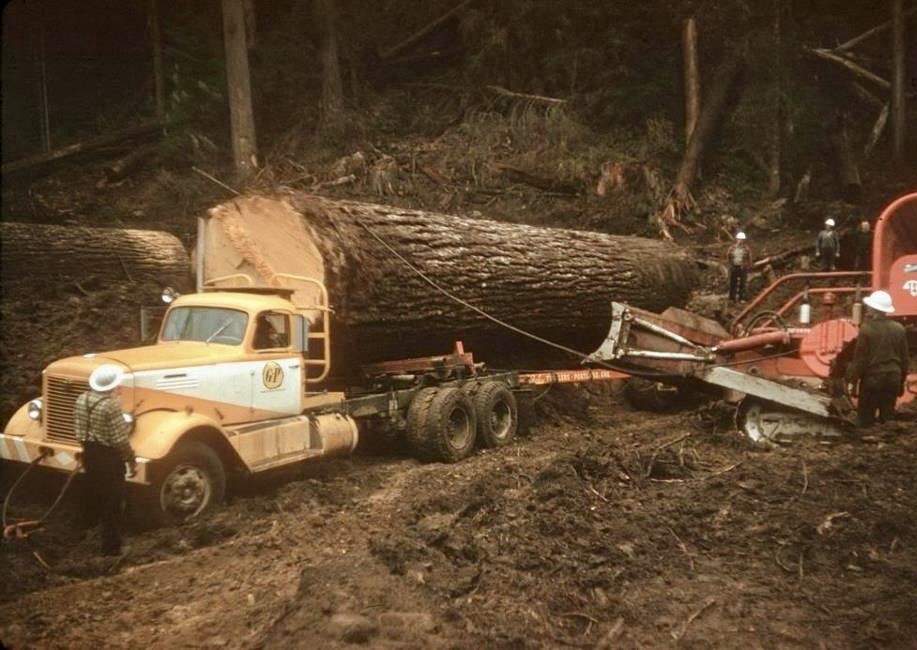Vintage Logging Truck Photo Poster, Multiple sized Poster / Prints