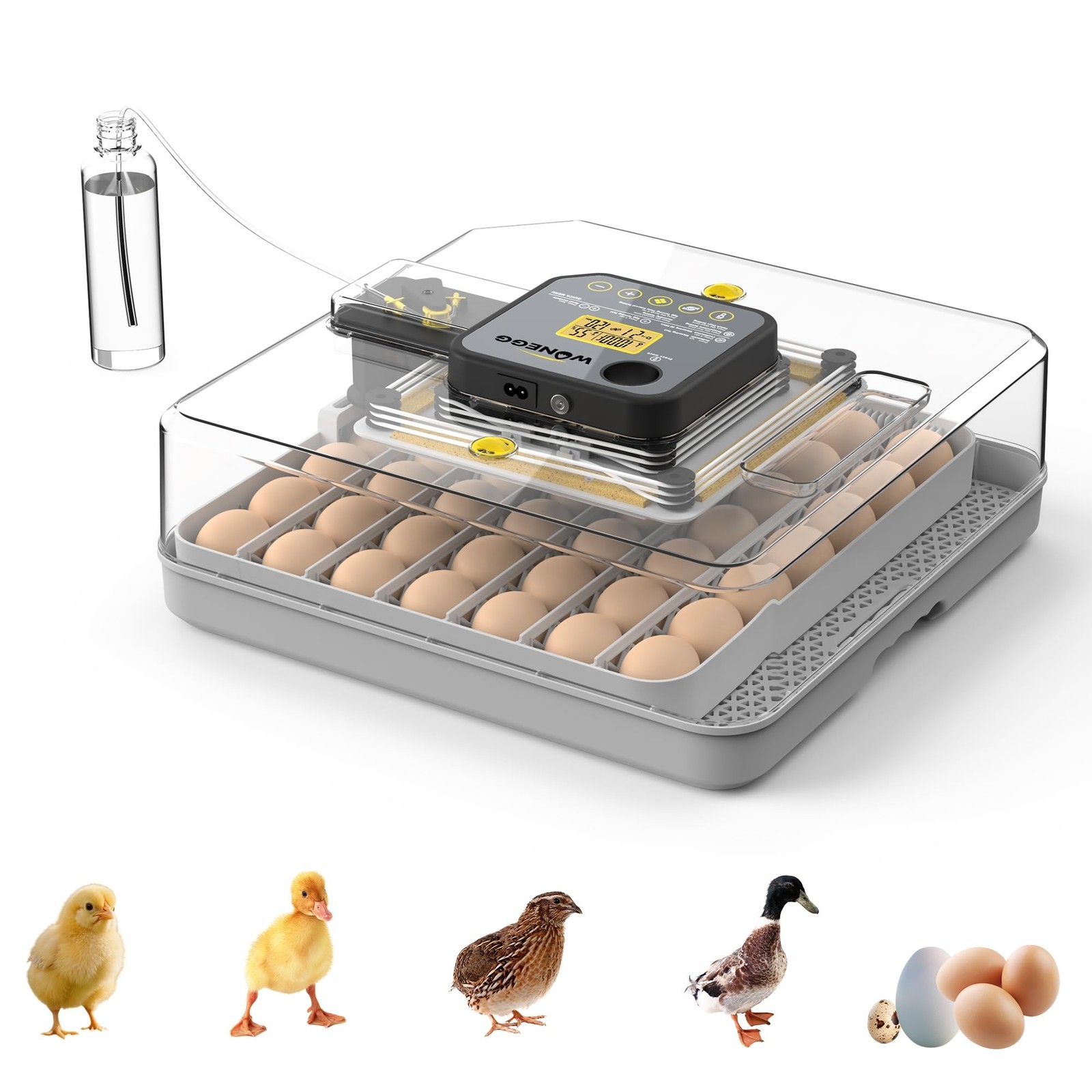 Egg Incubator for Hatching 48 Chicken, Duck, Quail & Goose Eggs – Automati