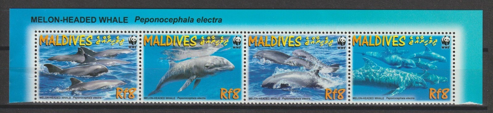 MALDIVE ISLANDS 2009 WWF SG 4234a MNH