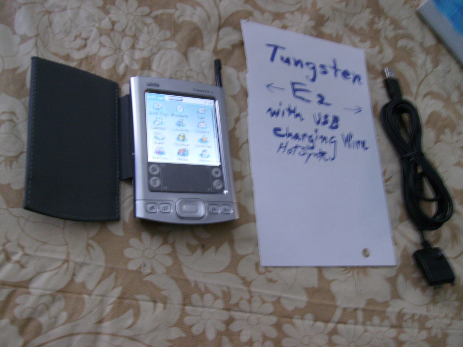 Tungsten E2 with Charging and HotSyncing Wire.