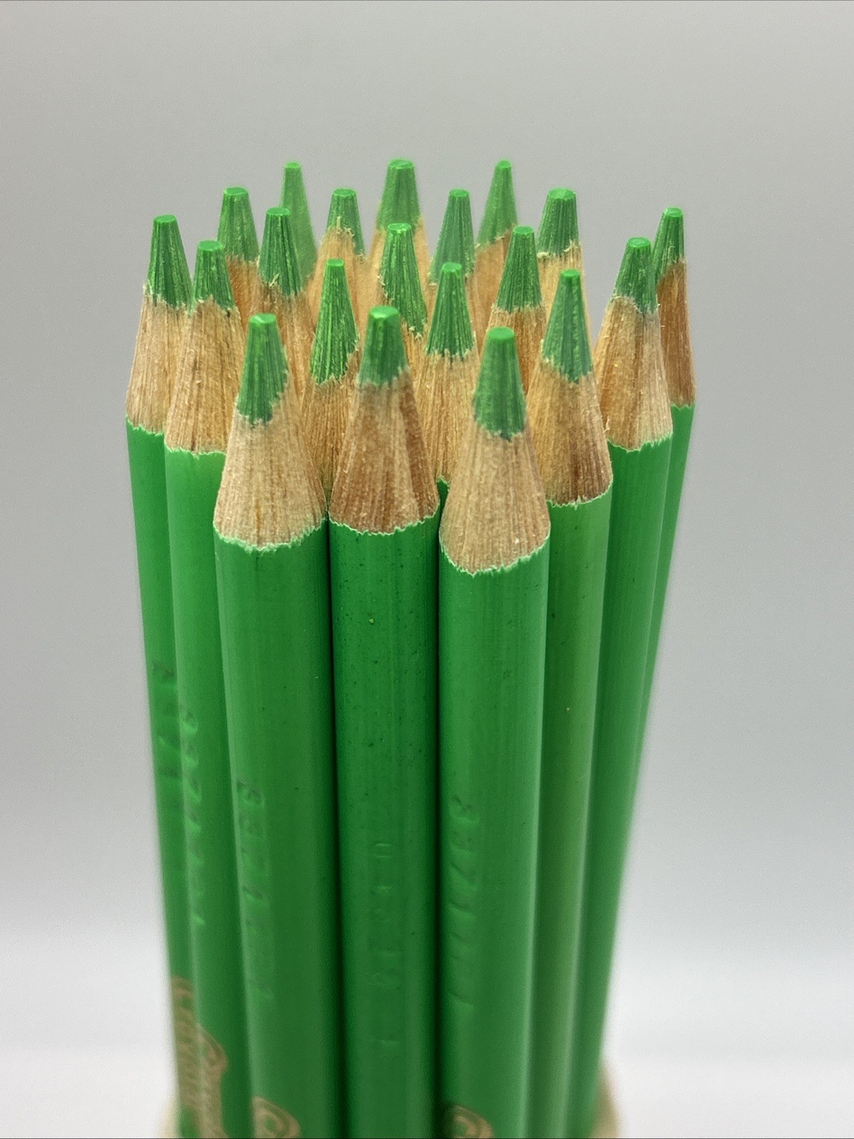 (20) Crayola Colored Pencils  (spring frost) BULK